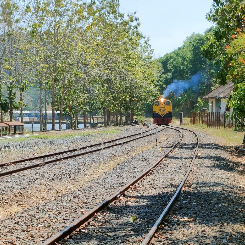 アンバラワ鉄道博物館線路